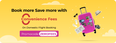 Zero Convenience Fee for Domestic Flight